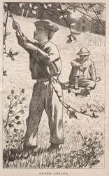 Grüne Äpfel, 1868