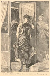 Ein Sturm aus Wind, Regen und Gischt kam herein - und Portia, aus The Galaxy, Dezember 1869
