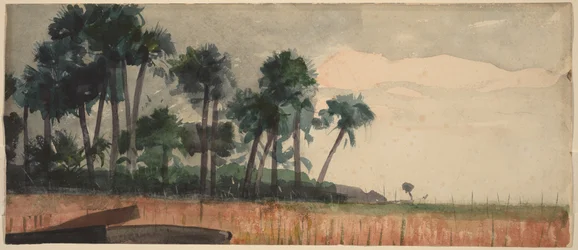 Palmen, rot