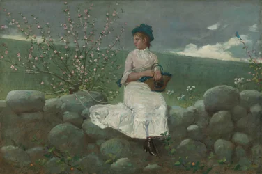 Pfirsichblüten, 1878