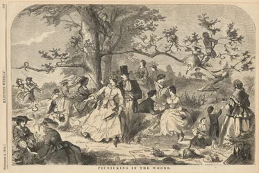 Picknick im Wald, aus Harper