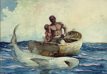 Haifischfang, 1885