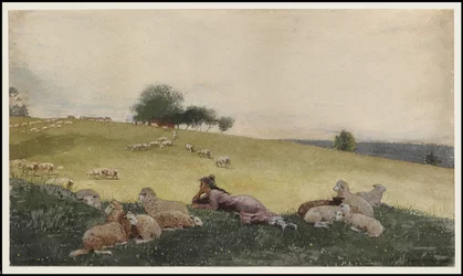 Hirtin von Houghton Farm, 1878