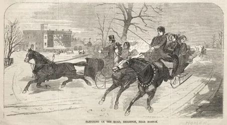 Schlittenfahrt auf der Straße, Brighton, nahe Boston