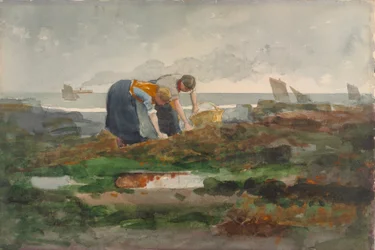 Die Muschelsammler