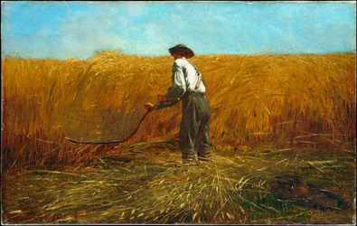 Der Veteran auf einem neuen Feld