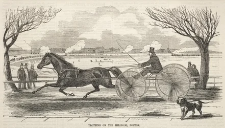 Trab auf dem Mühlendamm, Boston