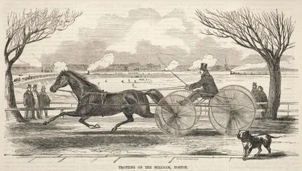 Trab auf dem Mill Dam, Boston, 1859