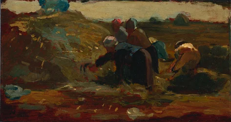 Frauen, die auf einem Feld arbeiten