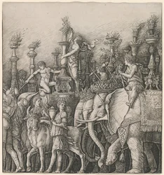 Der Triumph Caesars: Die Elefanten