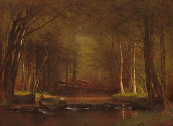 Forellenbach in den Catskills