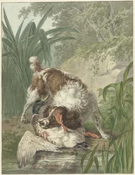 Jagdhund fängt eine Ente