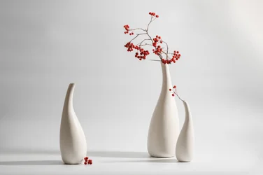 Elegante Vasen, rote Beeren