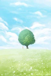 Einsamer Baum Sommerfeld