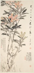 Pipa (Loquats)