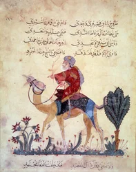Ein Kamelreisender. Miniatur aus den „Maqamat“ (Seancen) von Abu Mohammed al-Kasim ibn Ali Hariri, illuminiert von Yahya Mahmud al-Wasiti im Jahr 1237, Paris, B.N.