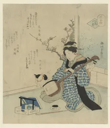 Geisha stimmt ihr Shamisen