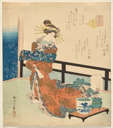 Nummer Sechs: Blumen der Hauptstadt, aus der Serie Blumen