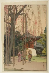 Der Kirschbaum in Kawagoe