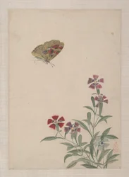 Vögel, Insekten und Blumen