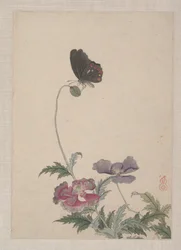 Vögel, Insekten und Blumen