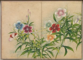 Schreibtischalbum: Blumen- und Vogelmalereien (Nelken)