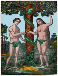 Adam und Eva, ca. 1880 (Stich)