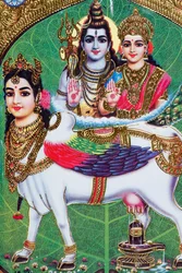 Hindu-Gott Shiva und Göttin Parvati.
