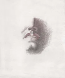 Studie für das Gesicht eines Mannes: Mund und Nase. ca. 1830