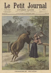 Eine Frau von einem Pferd getreten