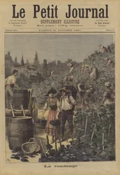 Die Weinlese