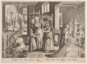 Füttern von Maulbeerblättern an die Seidenraupen