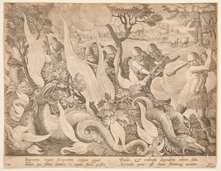 Kämpfende Schlangen mit Feuer