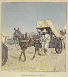 Konvoi von Kranken, evakuiert nach Marololo