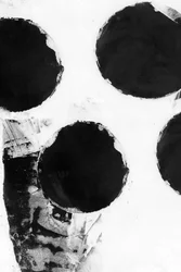 Abstrakte schwarze Kreise