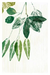 Botanische grüne Blätter