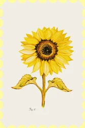 Goldene Sonnenblumenblüte