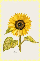 Goldene Sonnenblumen-Botanisch