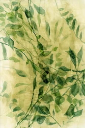 Grüne Aquarellblätter