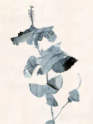 Hibiskusblüte Abstrakt