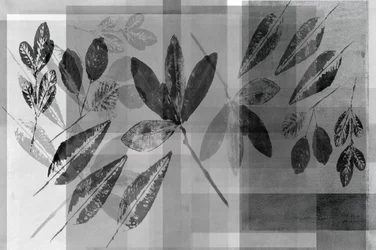 Monochrome botanische Schichten