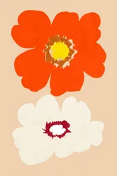 Orange und Weiße Blüten