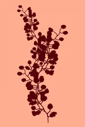 Pfirsichfarbene botanische Silhouette