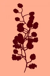 Pfirsichfarbene botanische Silhouette