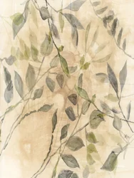 Sanfte botanische Blätter