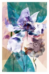 Transluzente Blumenanemonen
