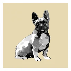 Aquarell Französische Bulldogge