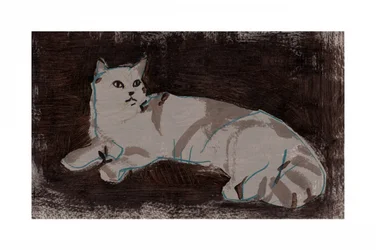 Weiße ruhende Katze