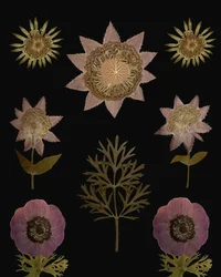 Vintage Getrocknete Blumen