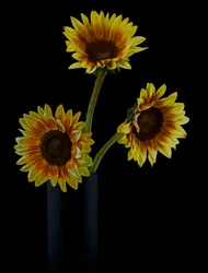 Goldene Sonnenblumenanordnung